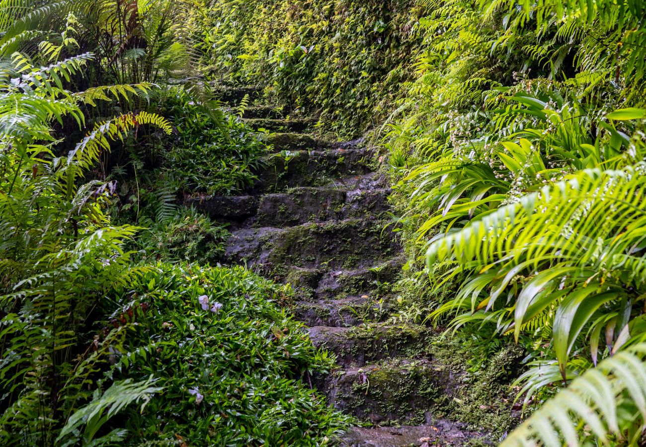 Villa in Ubud - UBUD CANYON
