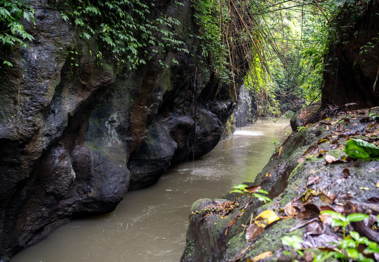 Villa in Ubud - UBUD CANYON